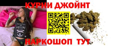 гашик Будённовск