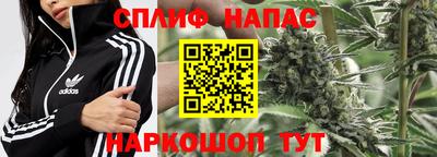 гашик Будённовск