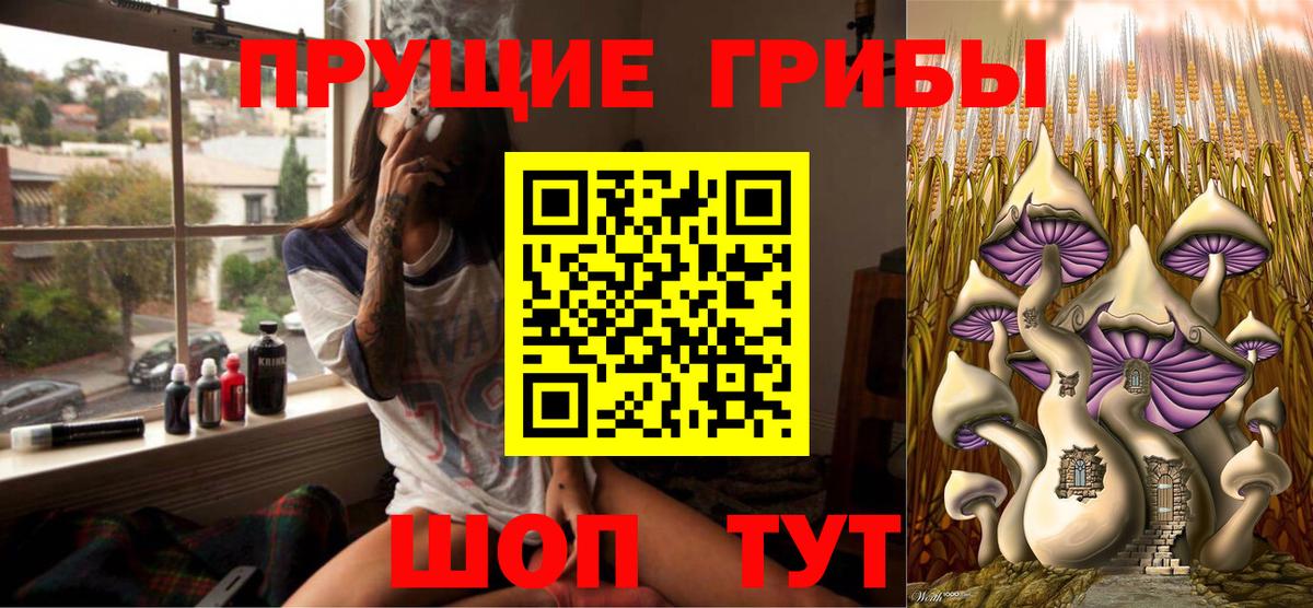 Псилоцибиновые грибы мухоморы  Вход с VPN  Нальчик  купить  сайты  Псилоцибиновые грибы мухоморы 