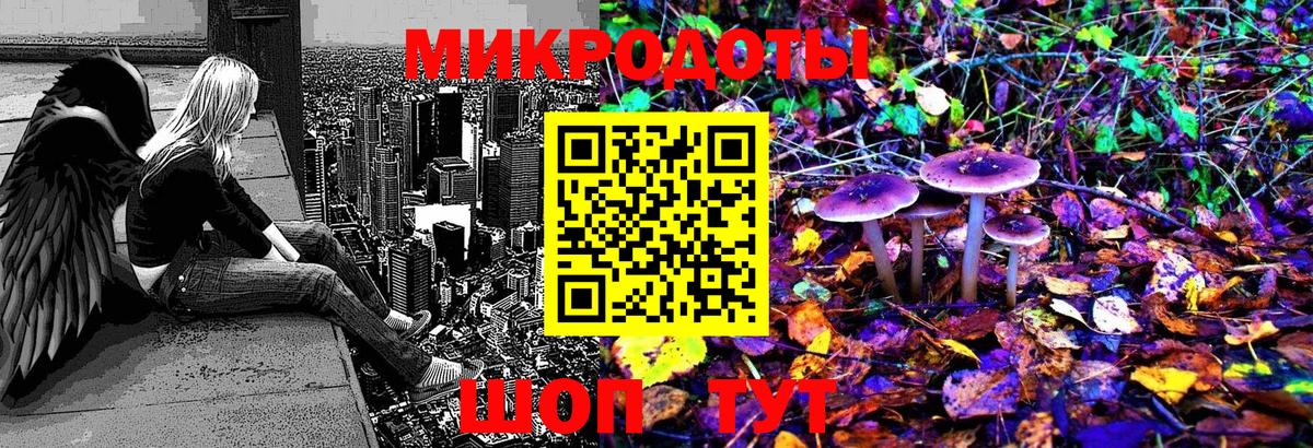 Псилоцибиновые грибы Cubensis Нальчик